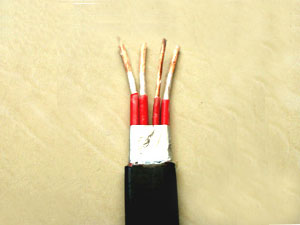  丁腈扁电缆YVFB4*10